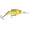 Hot Tiger, variant on Rapala Jointed Shad Rap Crankbait 07 Hot Tiger