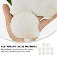 thumbnail image 5 of CNKOO 10pcs Scallop Shells DIY Seashell DIY Craft Material DIY Wedding Home Decoration, 5 of 5
