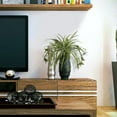 thumbnail image 1 of Paquete de 2 flores artificiales, plantas de araña, plantas de seda falsa, plantas artificiales de vegetación artificial para la pared del hogar, interior y exterior (no incluye cesta colgante) Adepaton WMZL-264, 1 of 5