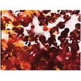 thumbnail image 1 of Cuadro Decorativo - Tesalonicenses 4 17 Atrapados Juntos Jr  Impresión en canvas, estrechado., 1 of 2