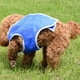 thumbnail image 3 of Chaqueta de enfriamiento para mascotas Arnés para enfriamiento con hielo para perros Chaleco de malla para mascotas con cinta mágica - Talla S (azul), 3 of 5