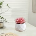 thumbnail image 5 of PRETXORVE Home Decor, Room Decor, Mini Artificial Plants in Plastic Pots for indoor office Fake Plants Female office Home Decoration Gift Simulation Plants, 5 of 6