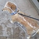 thumbnail image 5 of Chubasquero para perros, impermeable, transparente, ropa de exterior para mascotas, para perros pequeños, medianos, bulldog francés, cachorros, gatos, trajes de macotas, 5 of 5