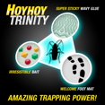 thumbnail image 4 of Trampa para control de plagas HOY HOY Trap A Roach, paquete de 10, 4 of 8