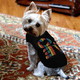 thumbnail image 5 of Camiseta para perro con estampado de amor, ropa cómoda de algodón para perros, camisa para perros de secado rápido, ropa de moda para mascotas, 5 of 5