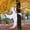 Cute, variant on Joyfy 2 Pcs 53" Halloween Bendable Tree Wrap Ghost for Halloween Decoration Outdoor, Lawn, Tree, Pilar Decorations
