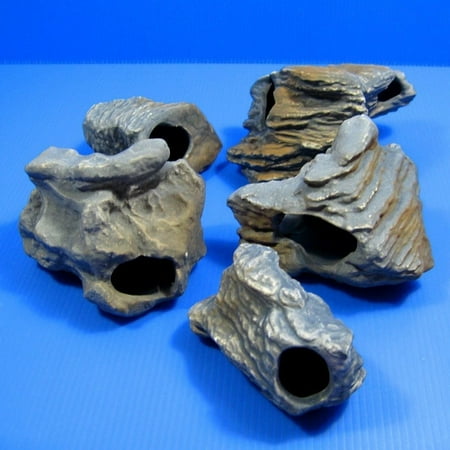 mf cichlid stone 5