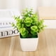 thumbnail image 1 of Xiao Hua 1 planta artificial en maceta, pequeña, de imitación, para escritorio, interior, granja, oficina, mesa, estante, decoración de baño (A96), 1 of 4