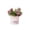 E, variant on Low-Maintenance Artificial Flower Bonsai with Ceramic Vase, Potted Floral Decor for Home Office Desk Easter Decor, Stylish Shelf Decoration and Table Centerpiece Easter Display, 3.1*2.5in, E