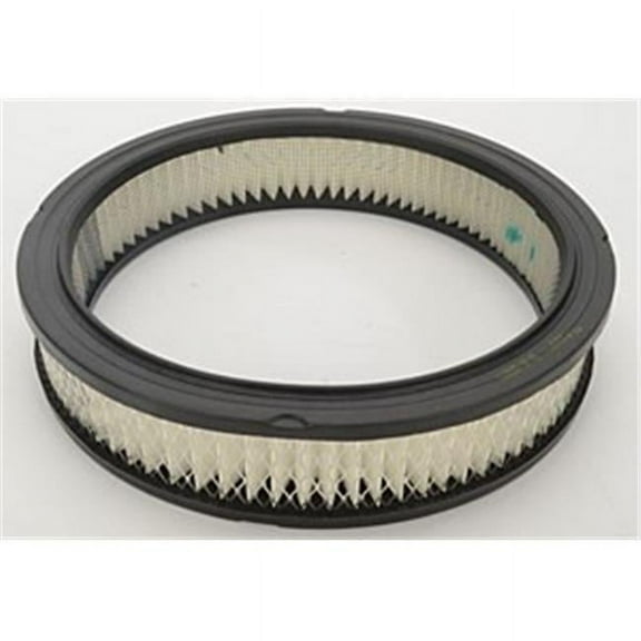 10 x 2 in. Pro - Flo Replacement Air Filter Element