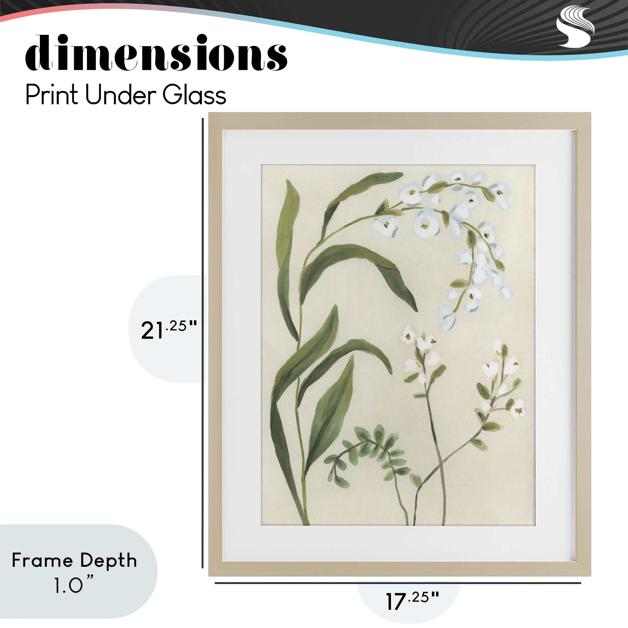 Stupell Industries Soft Snowdrop Stems Birch Framed Print Under Glass, design by June Erica Vess