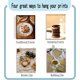 thumbnail image 4 of Lote de 6 lienzos decorativos de criaturas marinas sin marco, impermeables, para pared, diseño de tortugas marinas, medusas, estrellas de mar y pulpos, de 8 x 10 pulgadas, ideal como regalo., 4 of 9