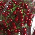 thumbnail image 2 of EeaseMX 100 piezas de cerezas artificiales realistas para decoración navideña, cerezas artificiales de alta imitación hechas a mano, fruta falsa., 2 of 7