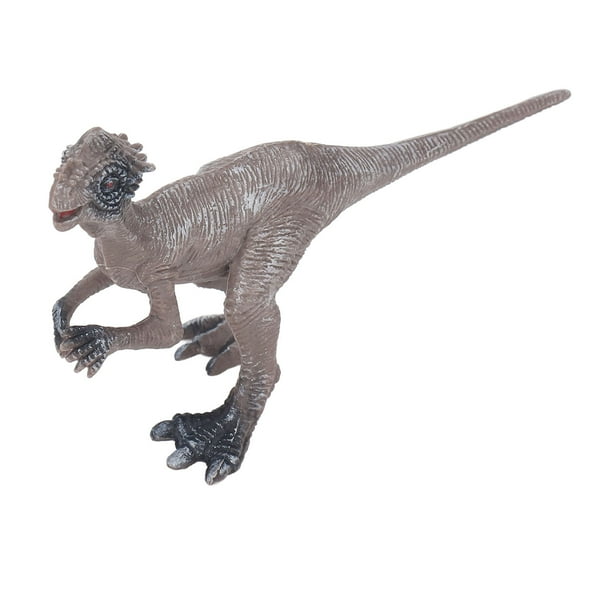 Juguete Modelo de Dinosaurio Modelo de Figura de Dinosaurio de Plástico de Alta Simulación para Niños para Niños ANGGREK Otros