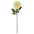 thumbnail image 1 of Vickerman FQ180602 24 Po. Vert Zinnia Stem, 1 of 2