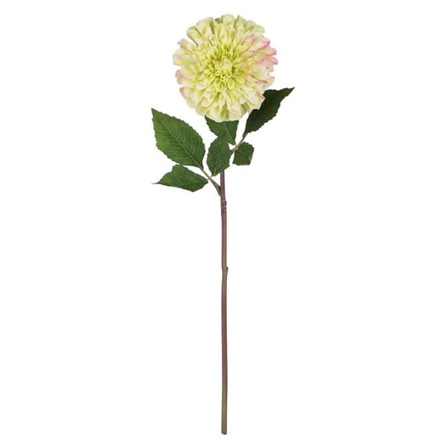 Vickerman FQ180602 24 Po. Vert Zinnia Stem