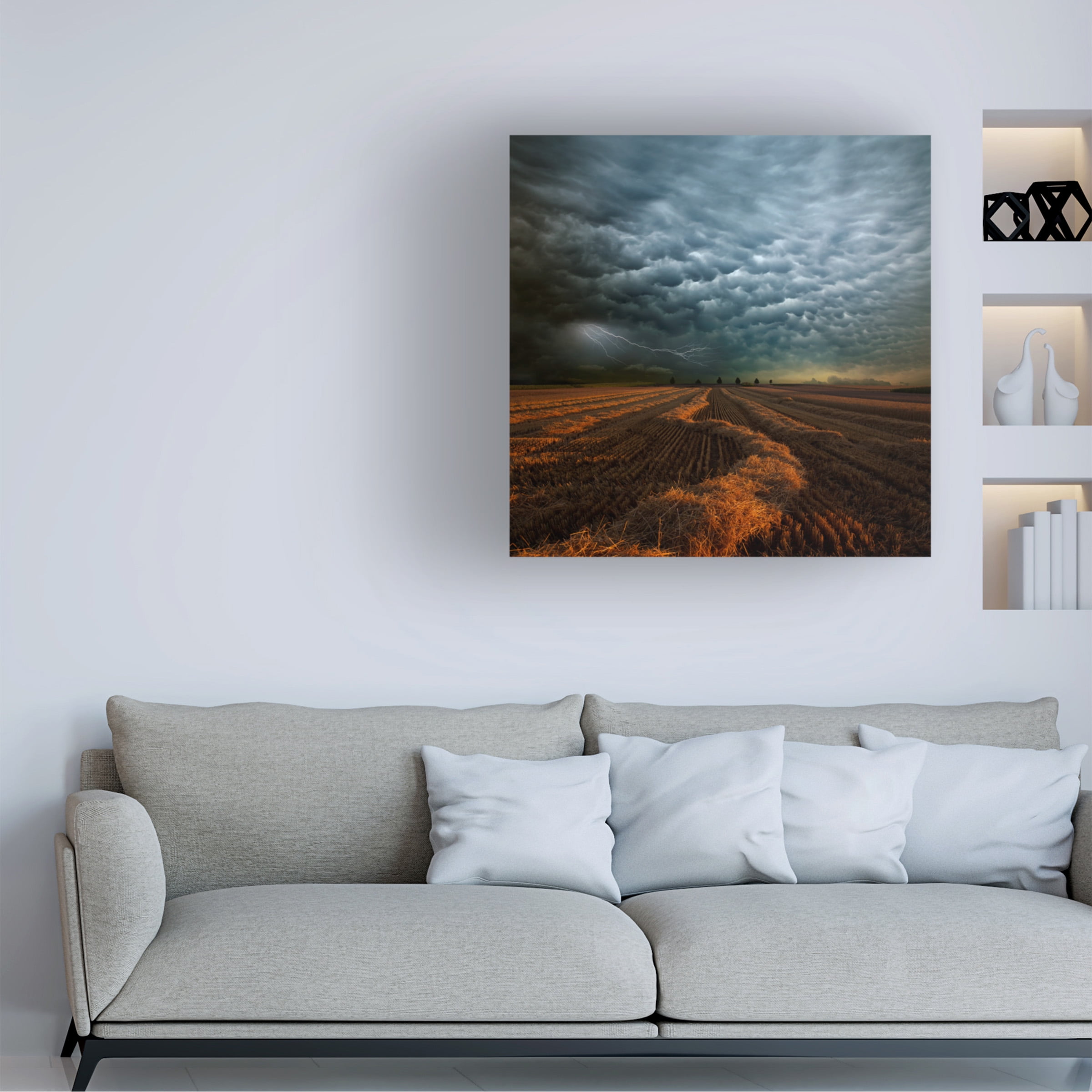 Franz Schumacher 'Mammatus' Canvas Art