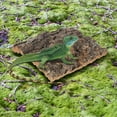thumbnail image 2 of 4Pcs Gecko Tank Accessories Cork Bark Flat Multi 5.9*5.9*0.8in, 2 of 8