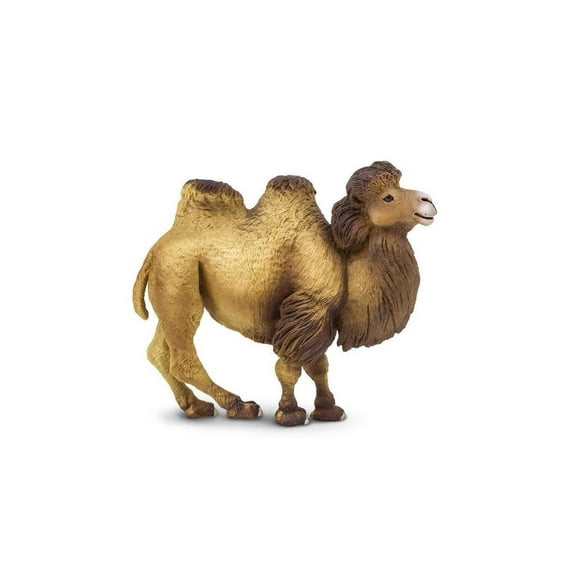Safari Ltd. Bactrian Camel Figurine - Realistic 4.25" Wildlife Figure - Educational Toy for Boys, Girls, and Kids Ages 3 