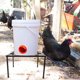 thumbnail image 3 of Soporte para comedero de gallinero, soporte metálico para bebedero, estante para comedero de pollos, soporte para comedero de gallinero, 3 of 7