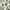 Ivory/Light Blue, variant on SAFAVIEH Chelsea Lara Floral Wool Area Rug, Ivory/Green, 1'8" x 2'6"