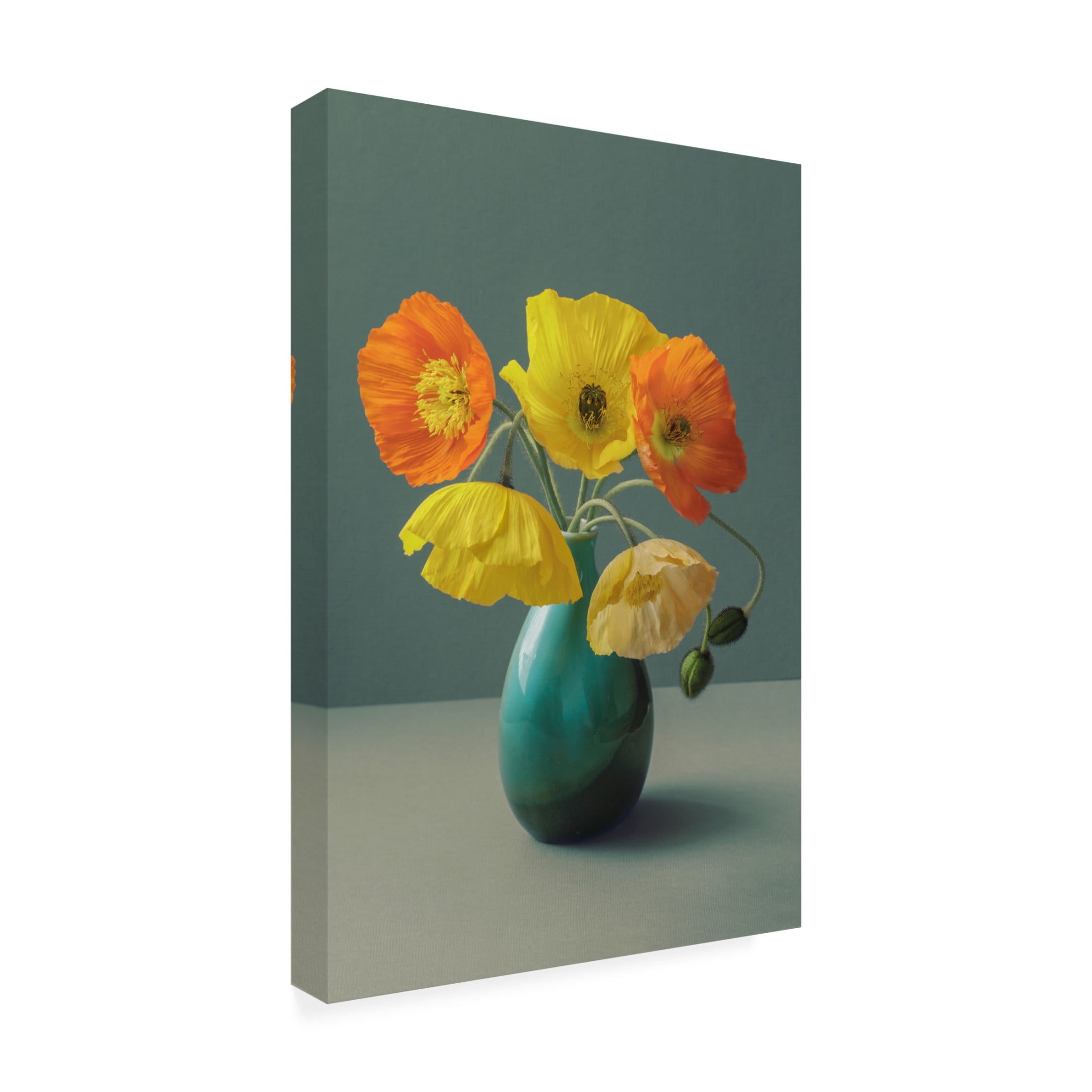 Trademark Fine Art Alyson Fennell  Icelandic Poppy Still Life Canvas Wall Art
