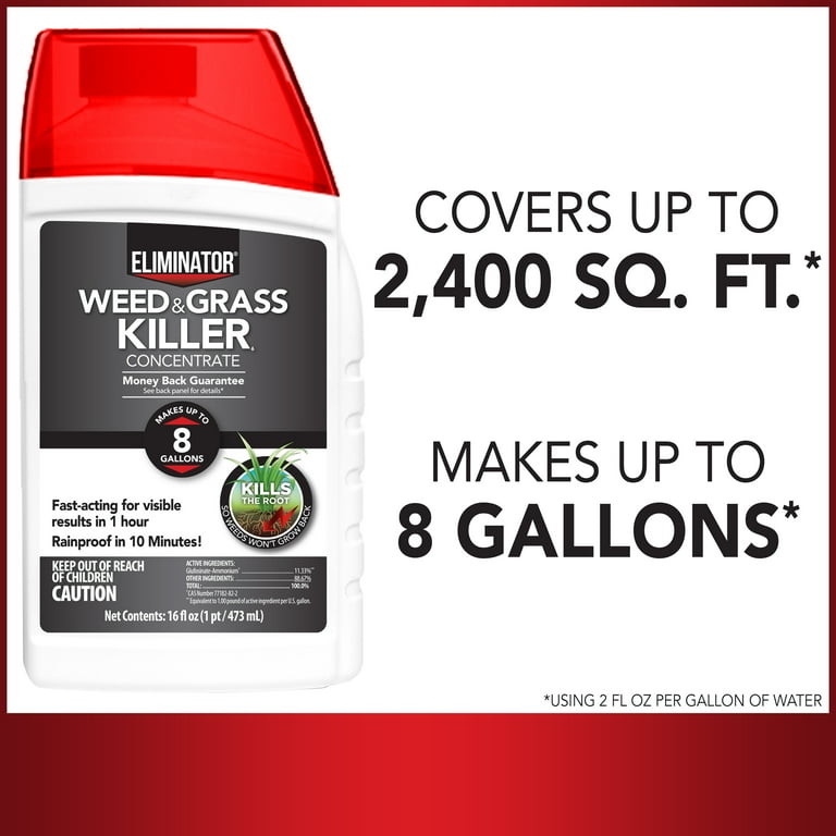 Eliminator Weed Grass Killer Plus Concentrate Herbicide, 32