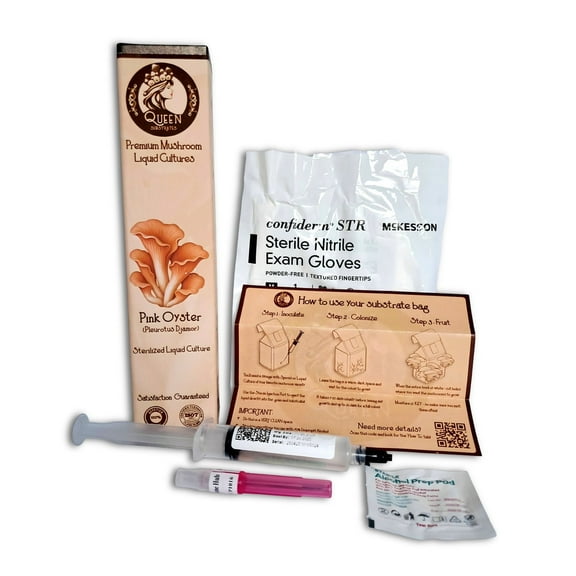 Pink Oyster Mushroom | 10mL | Gourmet Liquid Culture