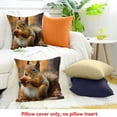 thumbnail image 4 of FCXZI Decor Indoor Decoration Squirrel Apple Woods Square Cushion Cover for Home Sofa Couch Linen 100% 18x18in, 4 of 5