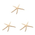 thumbnail image 1 of Wosthever Natural 5-12 cm/10-12 cm dedo blanco estrella de mar mar elegante hogar pelo boda decoración y proyecto artesanal Type2 NO2, 1 of 6
