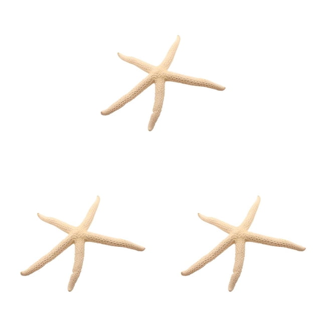 Wosthever Natural 5-12 cm/10-12 cm dedo blanco estrella de mar mar elegante hogar pelo boda decoración y proyecto artesanal Type2 NO2