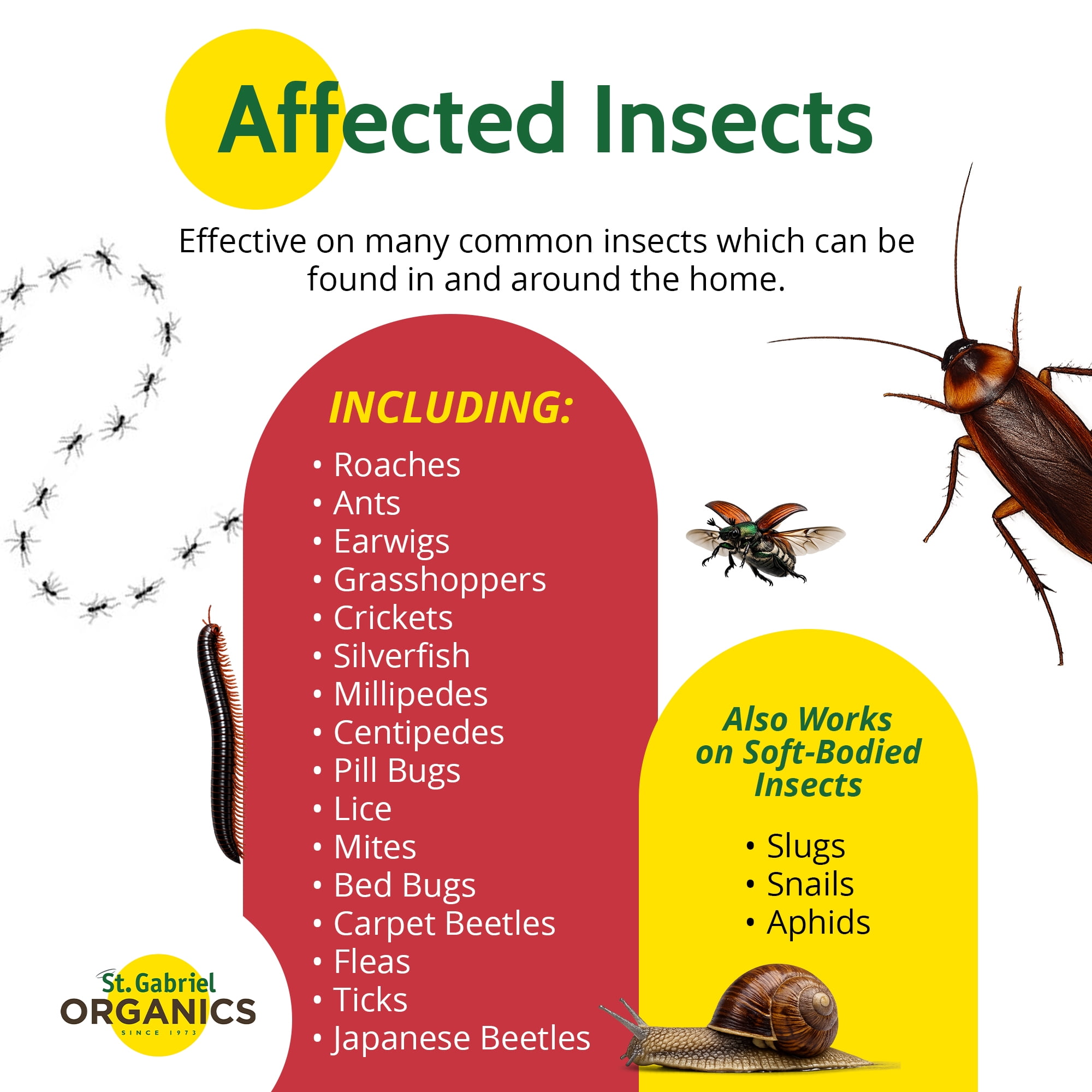 St. Gabriel Organics Insect Dust Diatomaceous Earth for Indoor and Outdoor Insect Control, 20oz