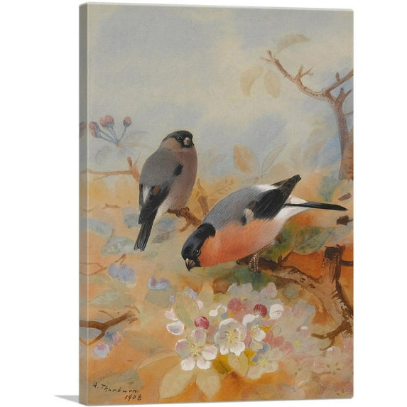 ARTCANVAS Goldfinches 1908 Canvas Art Print by Archibald Thorburn - Size: 18" x 12" (1.50" Deep)