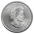 thumbnail image 3 of 2023 1 oz Canadian Silver Maple Leaf BU - Lot of 100 Coins, 3 of 4