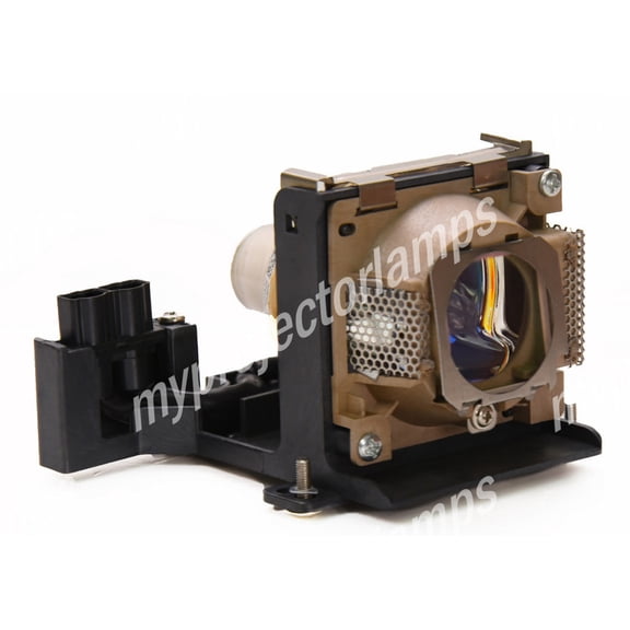 Benq PB8225 Projector Lamp with Module