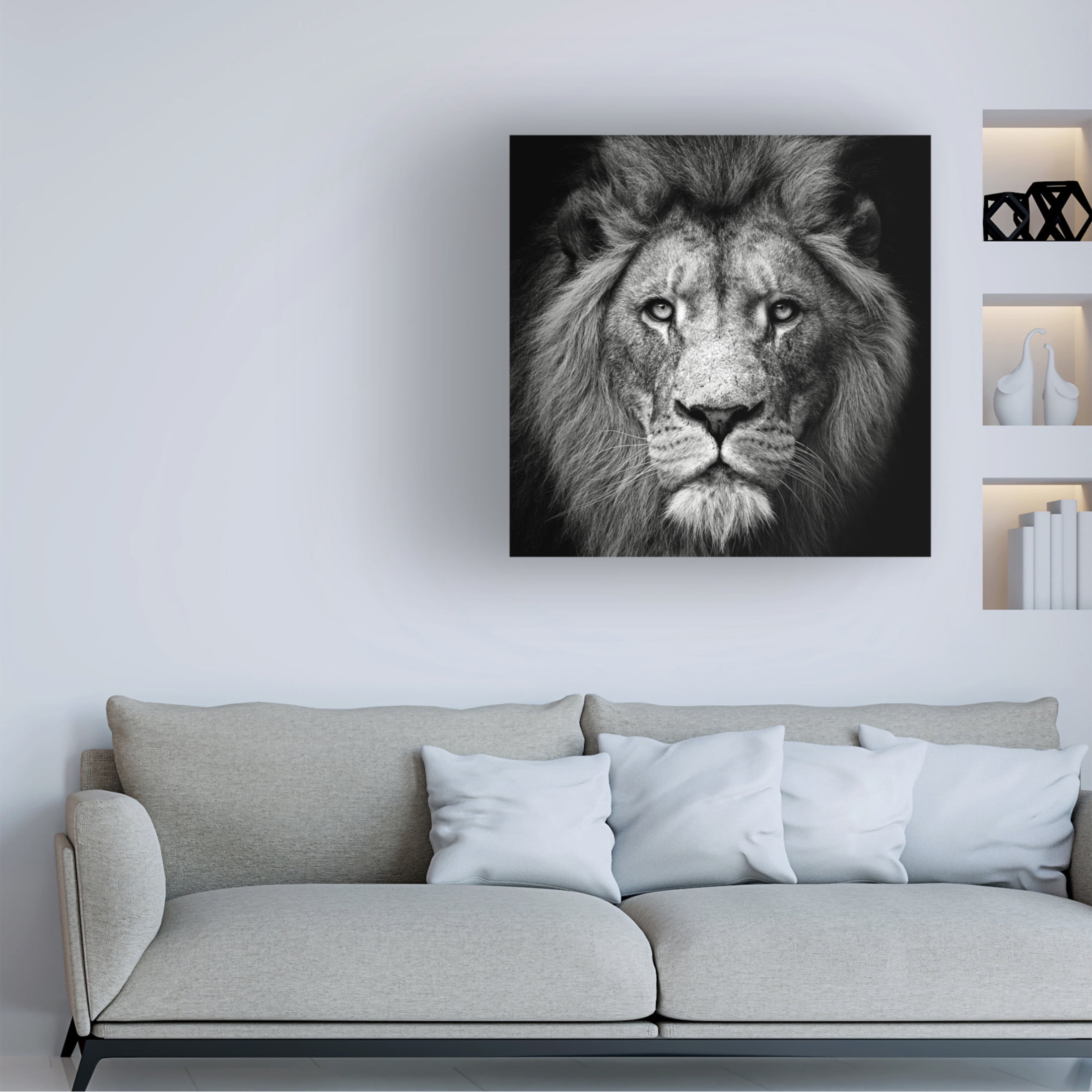 Trademark Fine Art Christian Meermann Stare Me Down 3 Canvas Wall Art