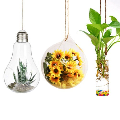 Wall Hanging Light Bulb Glass Vase Flower Plant Terrarium Container Home Decor 