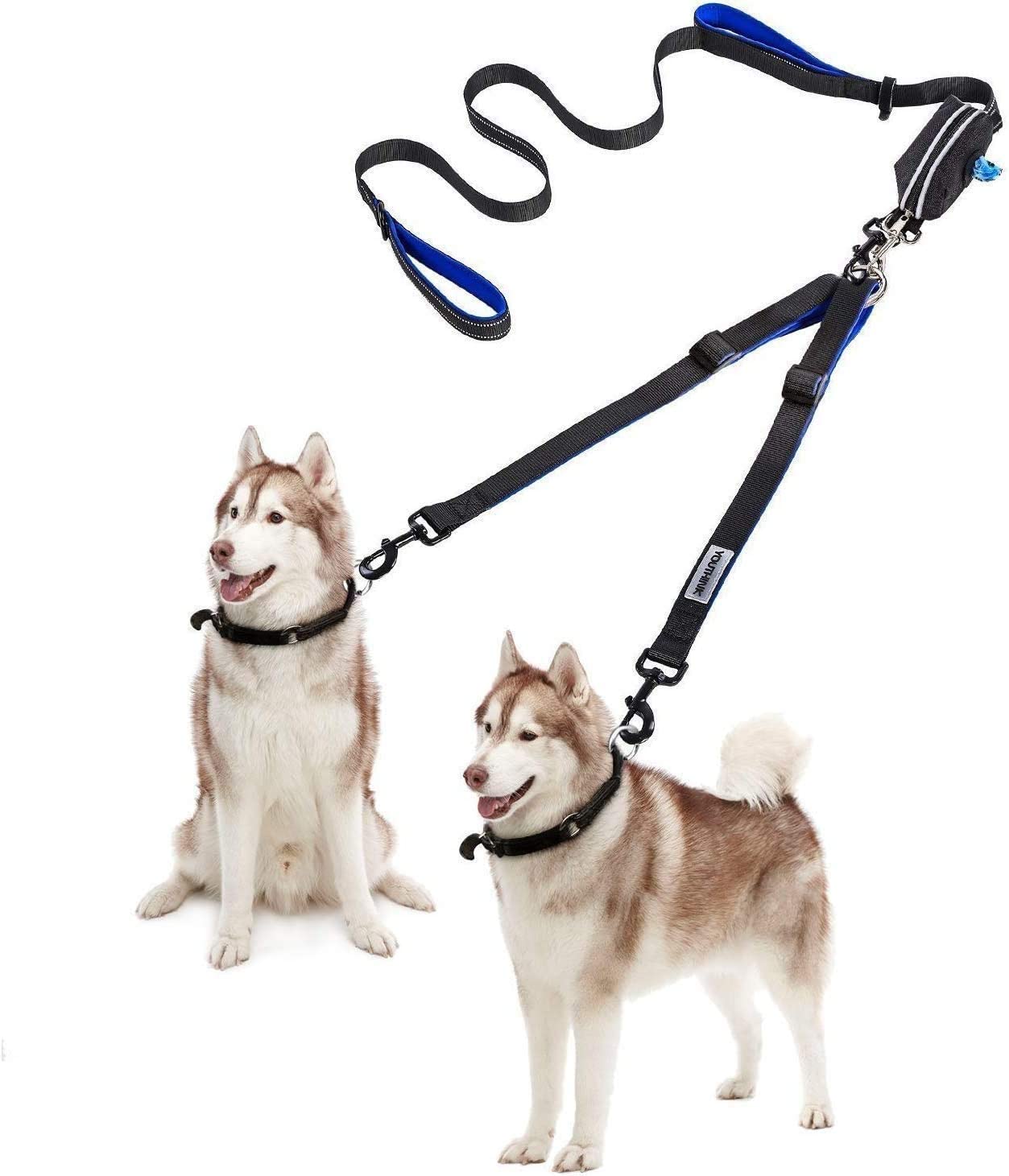 2 dog walking leash