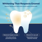 Lumineux Teeth Whitening & Dual Action Stain Repellant Bright, Peroxide Free & Enamel Safe, 1 Pen