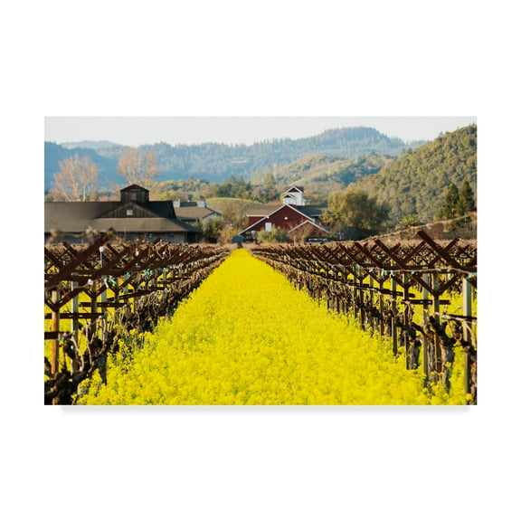 Trademark Fine Art 'Napa Valley In Winter' Canvas Art by Lance Kuehne