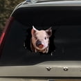 thumbnail image 5 of TIELUTT 3D Feeling Pig Stickers for Home Use Adornment for Sticker Pack Adults Inappropriate Easter Photo Props for Kids Eye Stickers for Kids Kindergarten Scrapbook Stickers Large Stickers for Toddl, 5 of 5