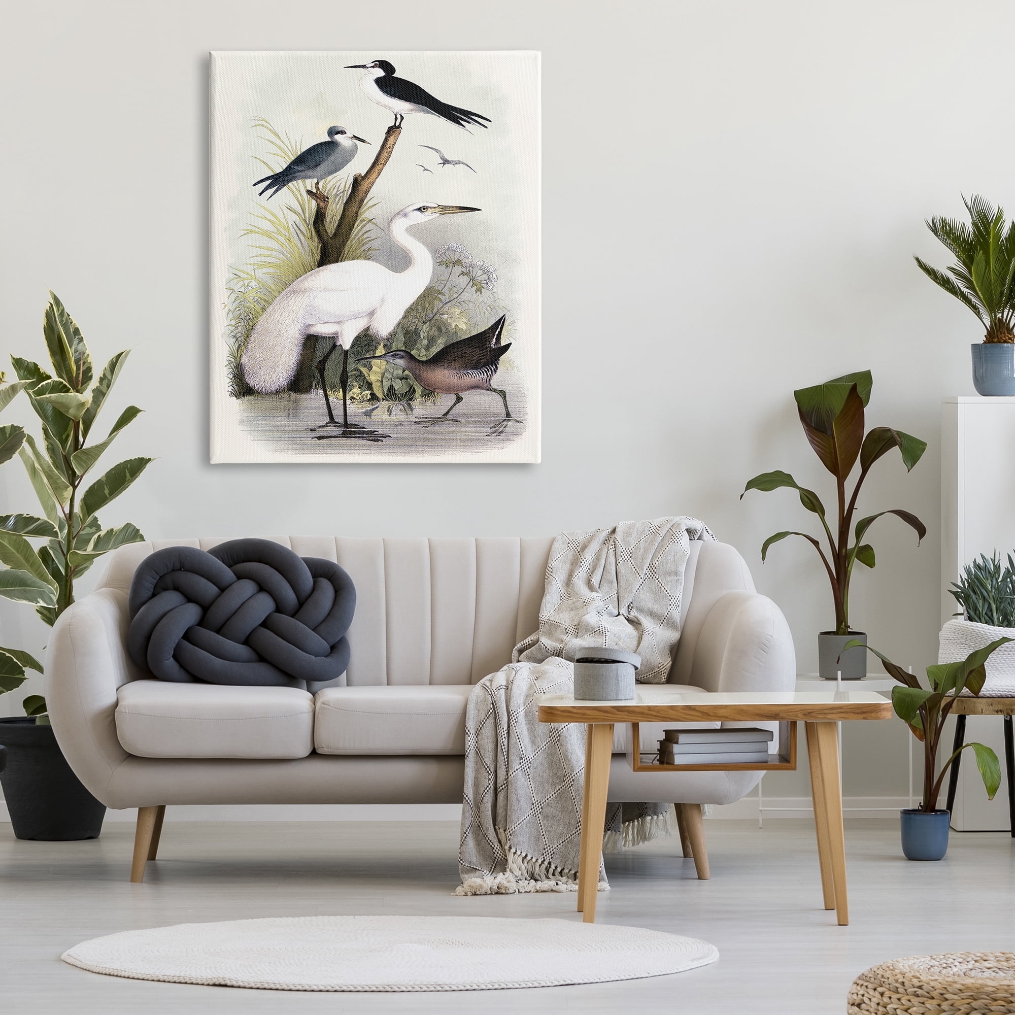 Stupell Industries Varied Crane Birds Gathered Riverbank Stream Botanicals Painting Gallery Wrapped Canvas Print Wall Art, Design by Piddix
