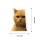 thumbnail image 3 of Pegatinas de gatos adorables para decorar maletas, guitarras y cuadernos, 3 of 8