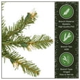 thumbnail image 5 of National Tree Company 8 ft. Pre-Lit Artificial Christmas Tree, Green, Dunhill Fir, Clear Lights, Includes Stand, 5 of 9