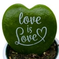 thumbnail image 2 of Hoya Kerri Heart with Painted Message, Decorative Green Kerrii Heart, Sweet Message in 2 inch Pot, 2 of 8