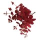 thumbnail image 3 of Flor artificial 4 ramas Flor falsa con hojas Oficina en casa Fiesta de bodas Decoración floral artificial, Rojo Yuarrent HA6518-04B, 3 of 6