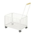 thumbnail image 2 of deevoka Rolling Storage Basket Carry on Organizer with Wheels for Books 53cmx36cmx34cm, 2 of 9