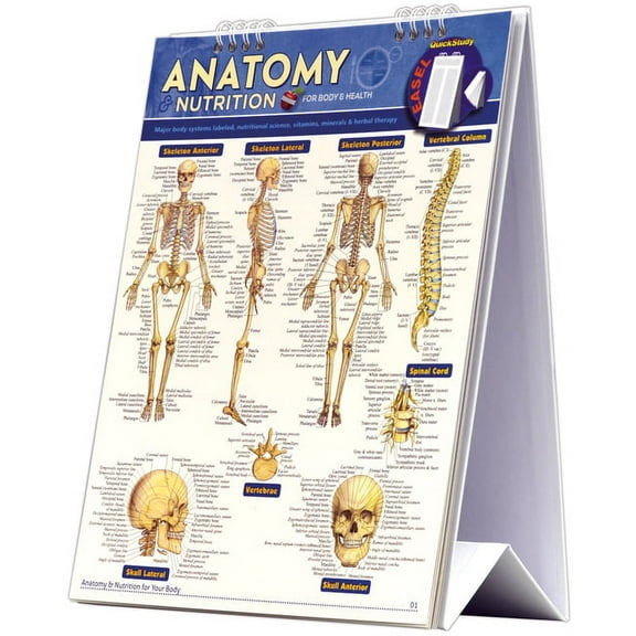 Anatomy & Nutrition for Body & Health Easel Book : a QuickStudy Reference Tool with Major Body Systems Labeled, Nutritional Science, Vitamins, Minerals & Herbal Therapy (Other)