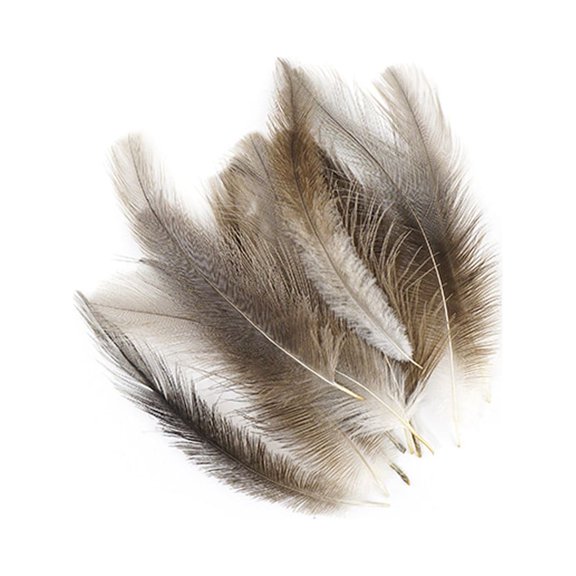 Zucker Feather Products Rhea Tail Feathers Selected 6-10" - Natural