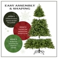 thumbnail image 4 of National Tree Company 7.5 ft Pre-Lit Jersey Fraser Fir Full Artificial Christmas Tree, 1,250 Multicolor Lights, 3,144 Tips, Includes Stand, Green, 4 of 8